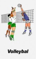volley2